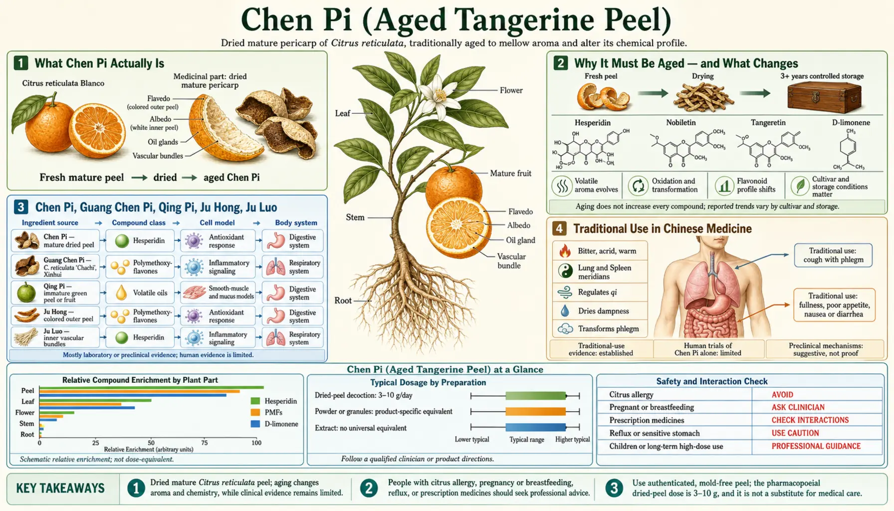 Chen Pi — scientific infographic poster