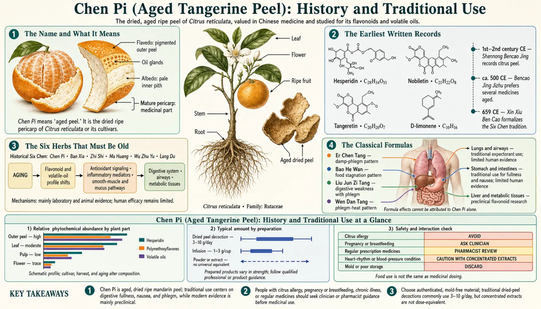 History — scientific infographic poster