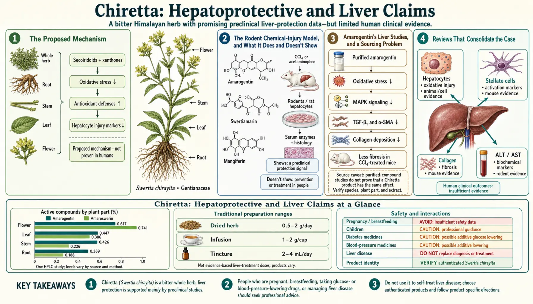 Hepatoprotective and Liver Claims — scientific infographic poster