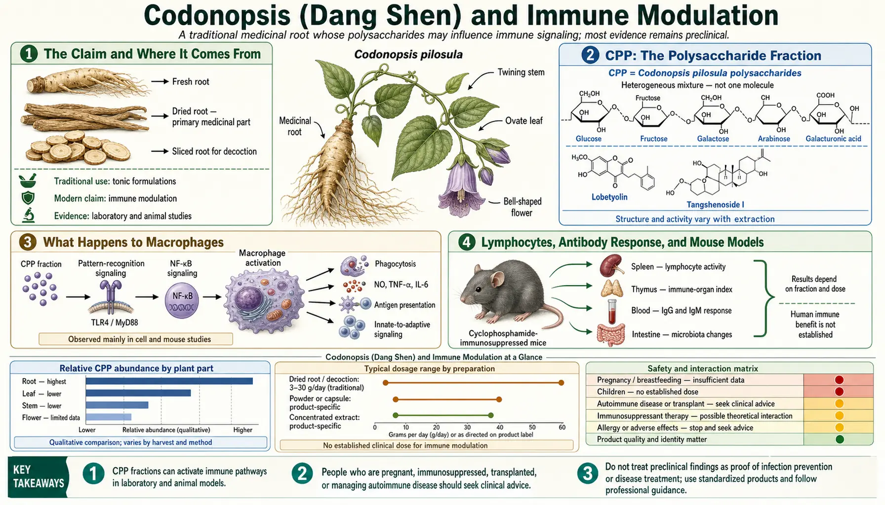 Immune Modulation — scientific infographic poster