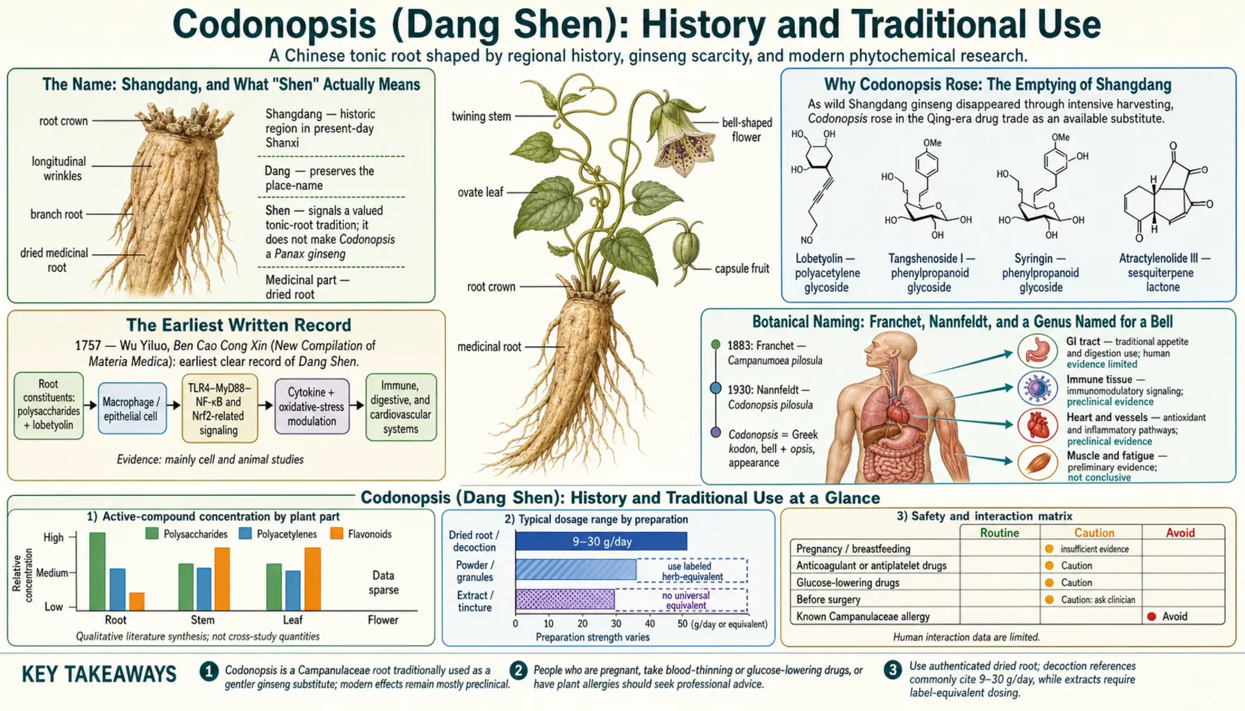 History — scientific infographic poster