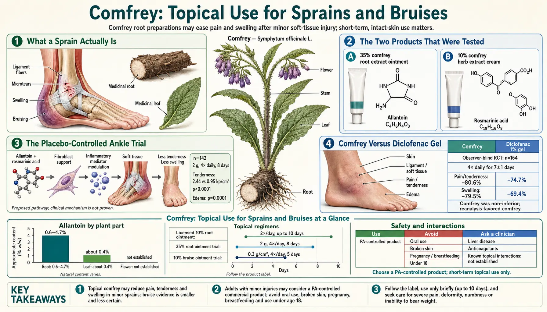 Topical Use for Sprains and Bruises — scientific infographic poster