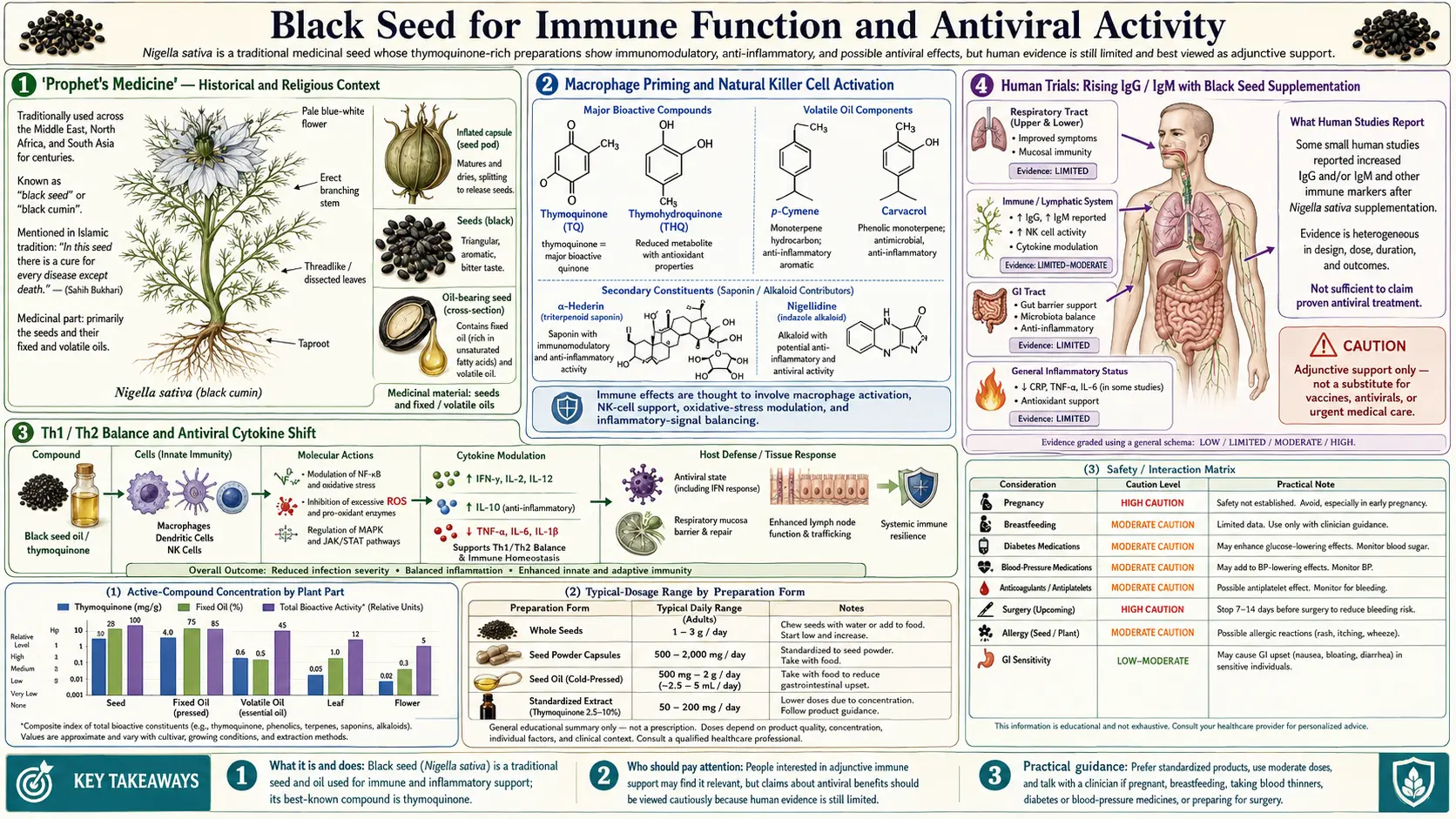 Immune and Antiviral — scientific infographic poster