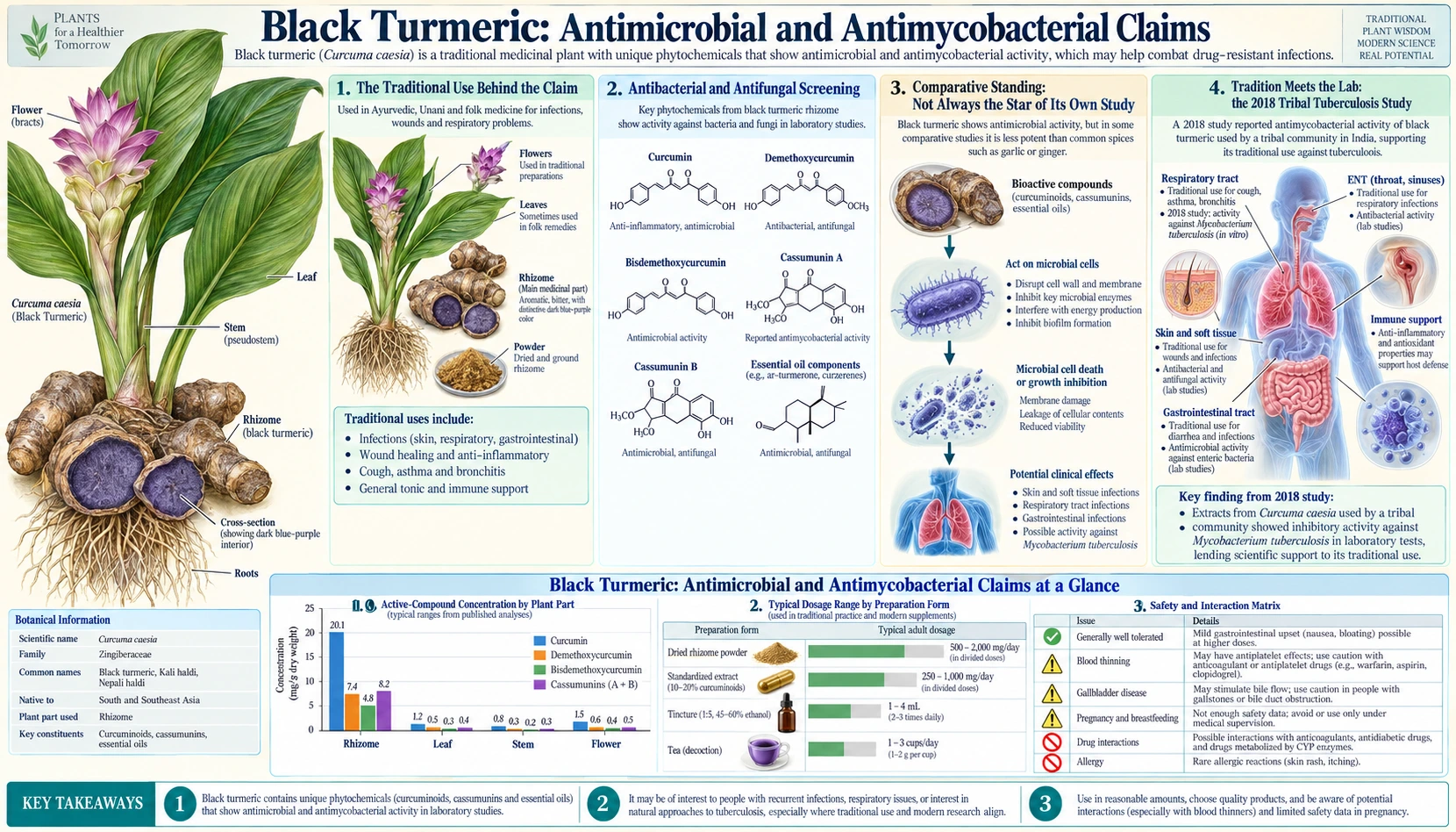 Antimicrobial and Antimycobacterial Claims — scientific infographic poster