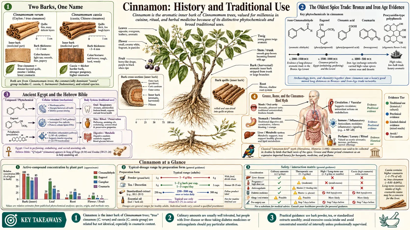 History — scientific infographic poster