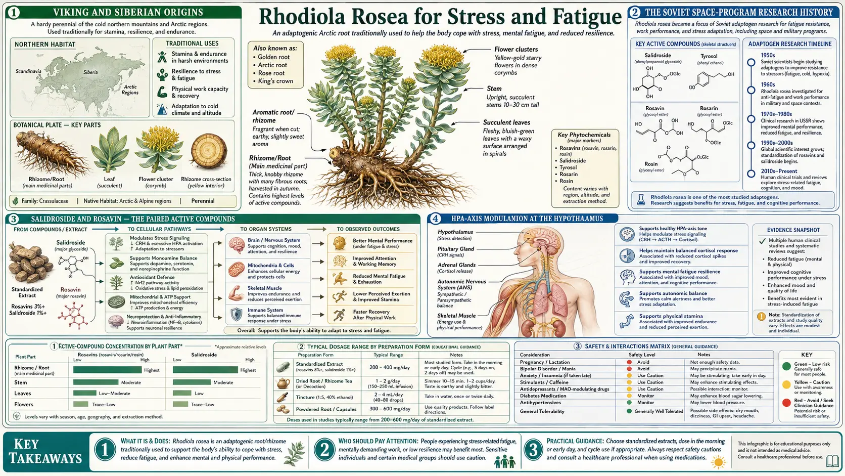 Dental Pain and Oral Health — scientific infographic poster