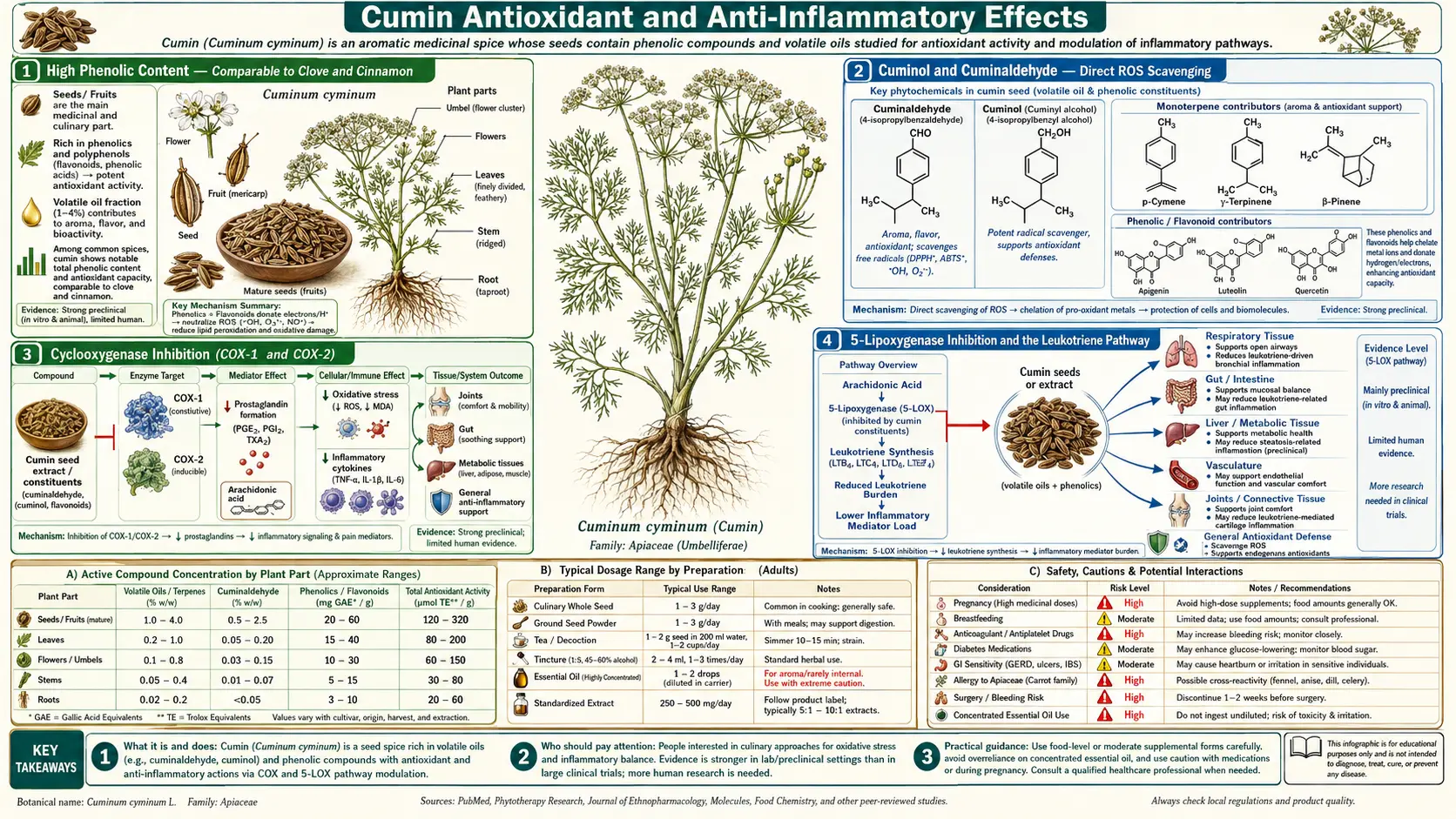 Antioxidant and Anti Inflammatory — scientific infographic poster