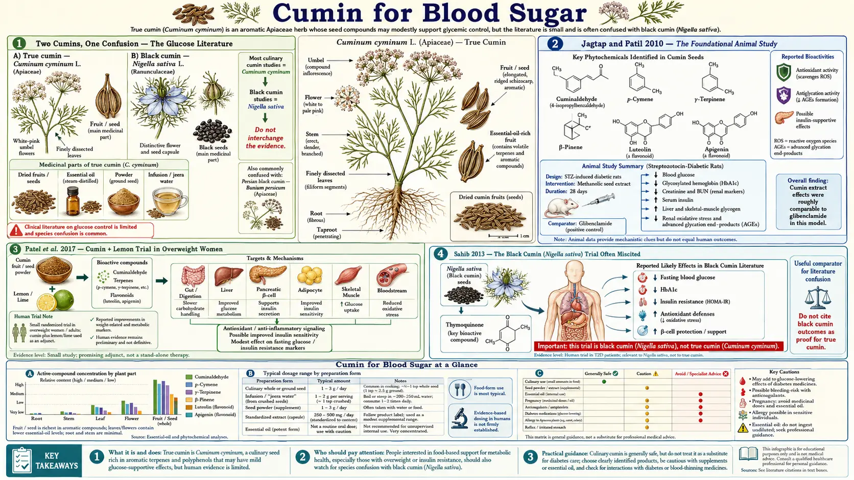 Blood Sugar — scientific infographic poster