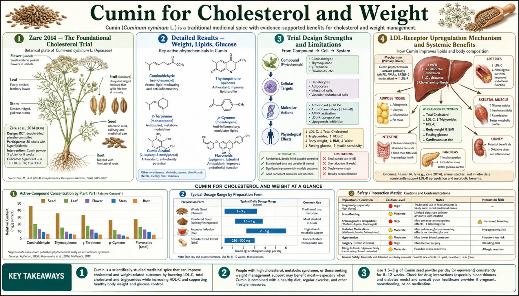 Cholesterol and Weight — scientific infographic poster