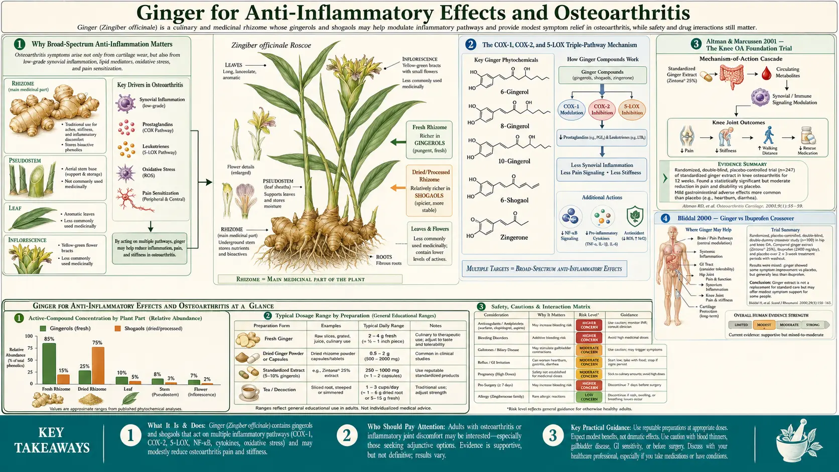 Anti Inflammatory and Osteoarthritis — scientific infographic poster