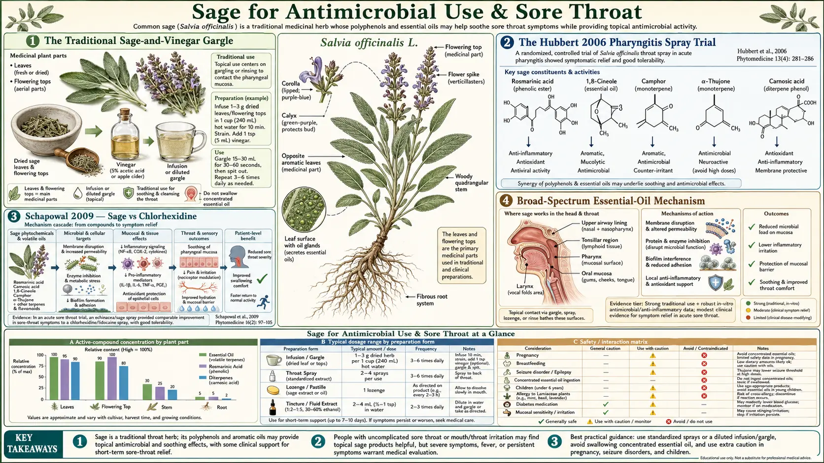 Antimicrobial and Throat — scientific infographic poster