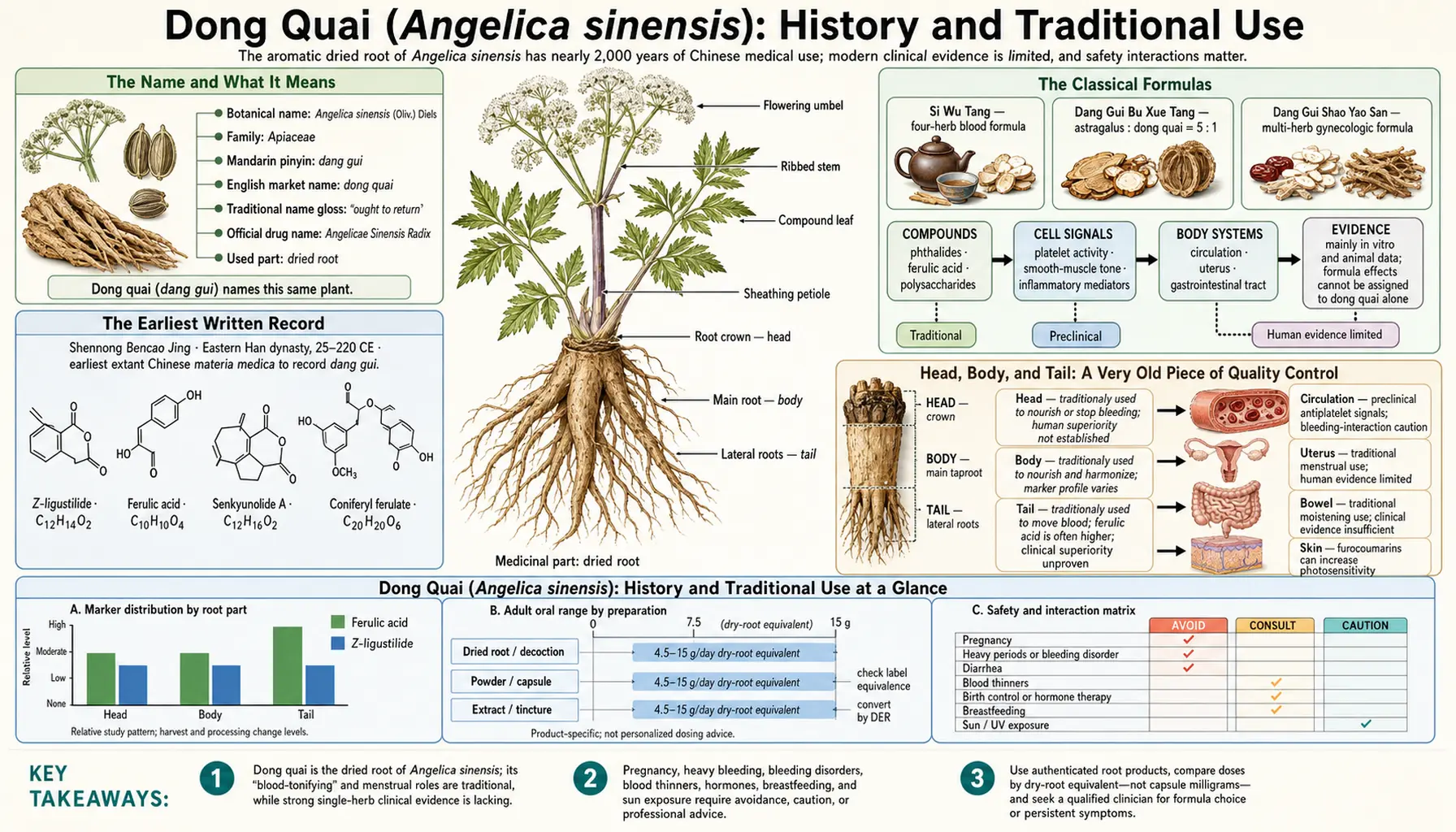 History — scientific infographic poster