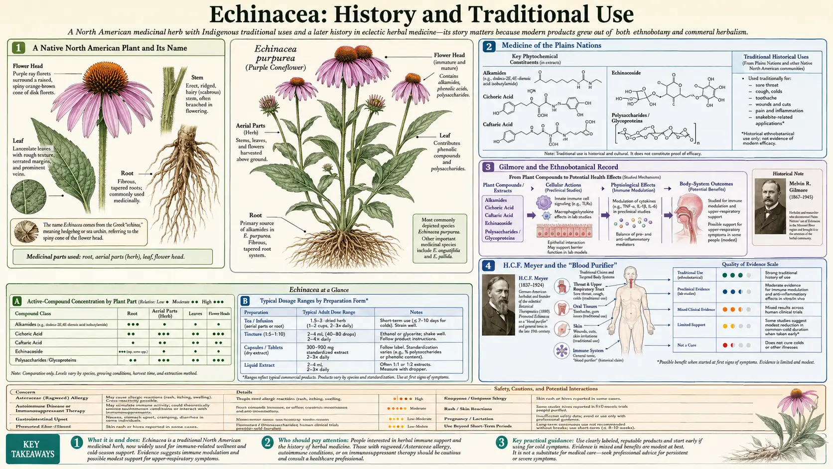 History — scientific infographic poster