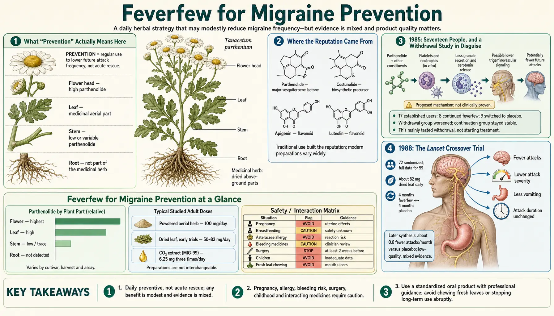Migraine Prevention — scientific infographic poster