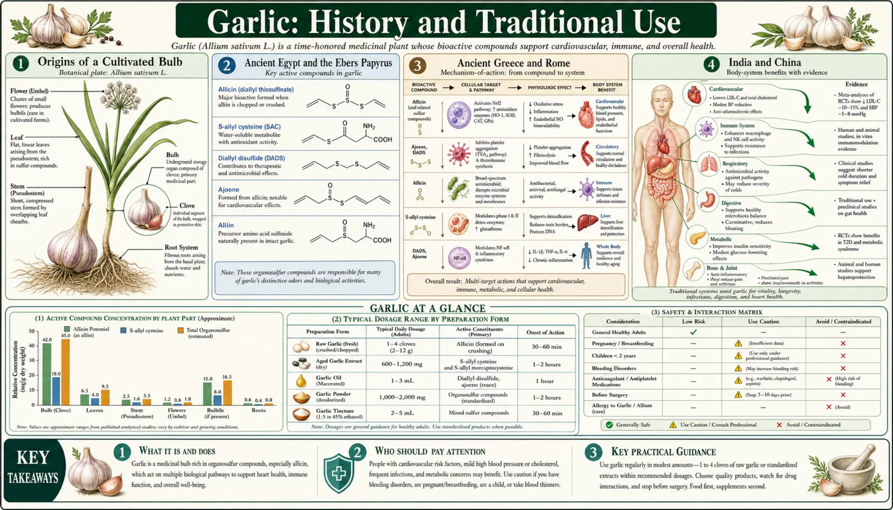 History — scientific infographic poster