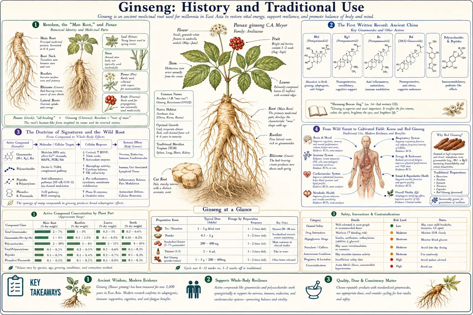 History — scientific infographic poster