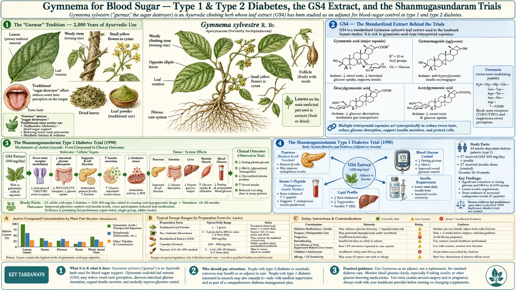 Blood Sugar — scientific infographic poster
