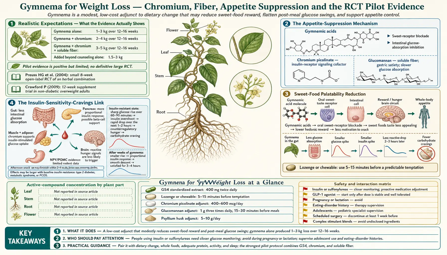 Weight Loss — scientific infographic poster