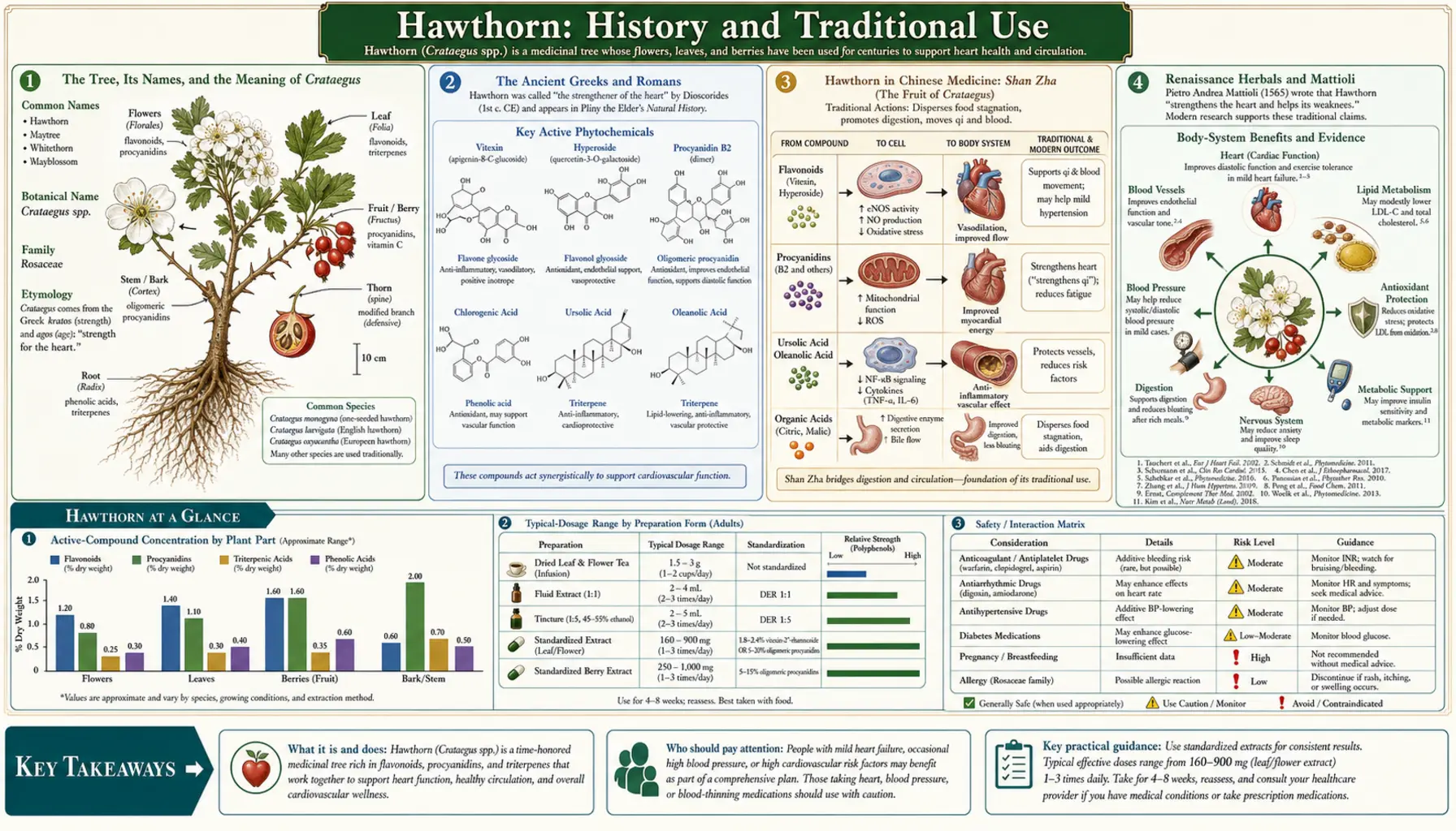 History — scientific infographic poster