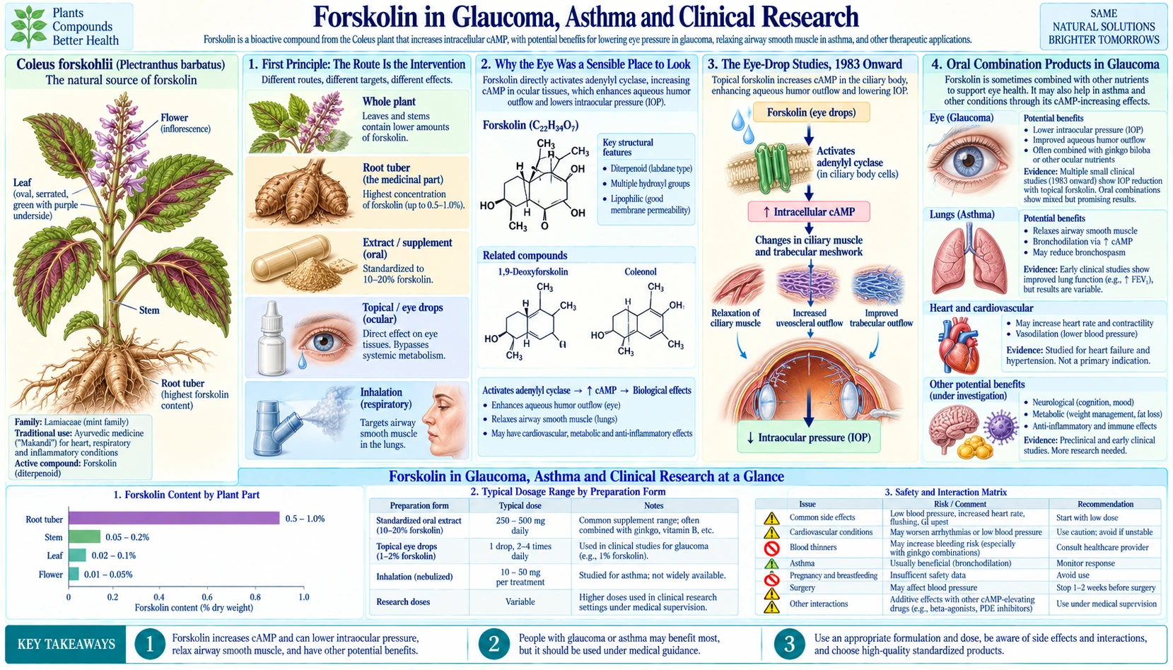 Glaucoma Asthma and Clinical Uses — scientific infographic poster