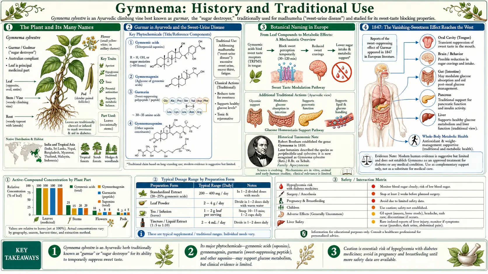 History — scientific infographic poster
