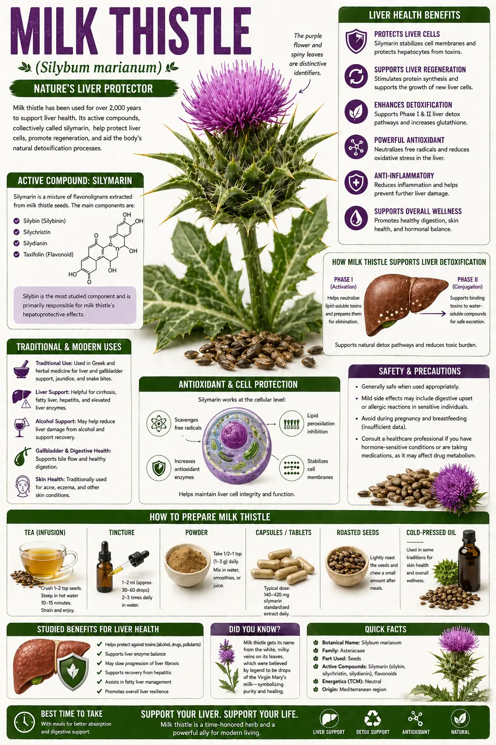 Milk Thistle (Silybum marianum)