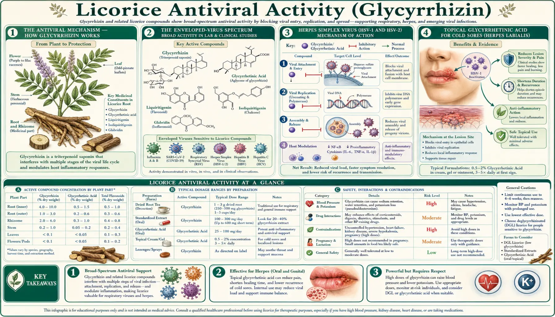Antiviral — scientific infographic poster