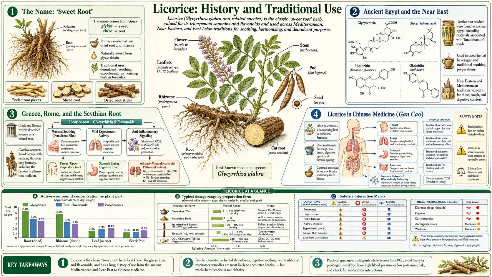 History — scientific infographic poster