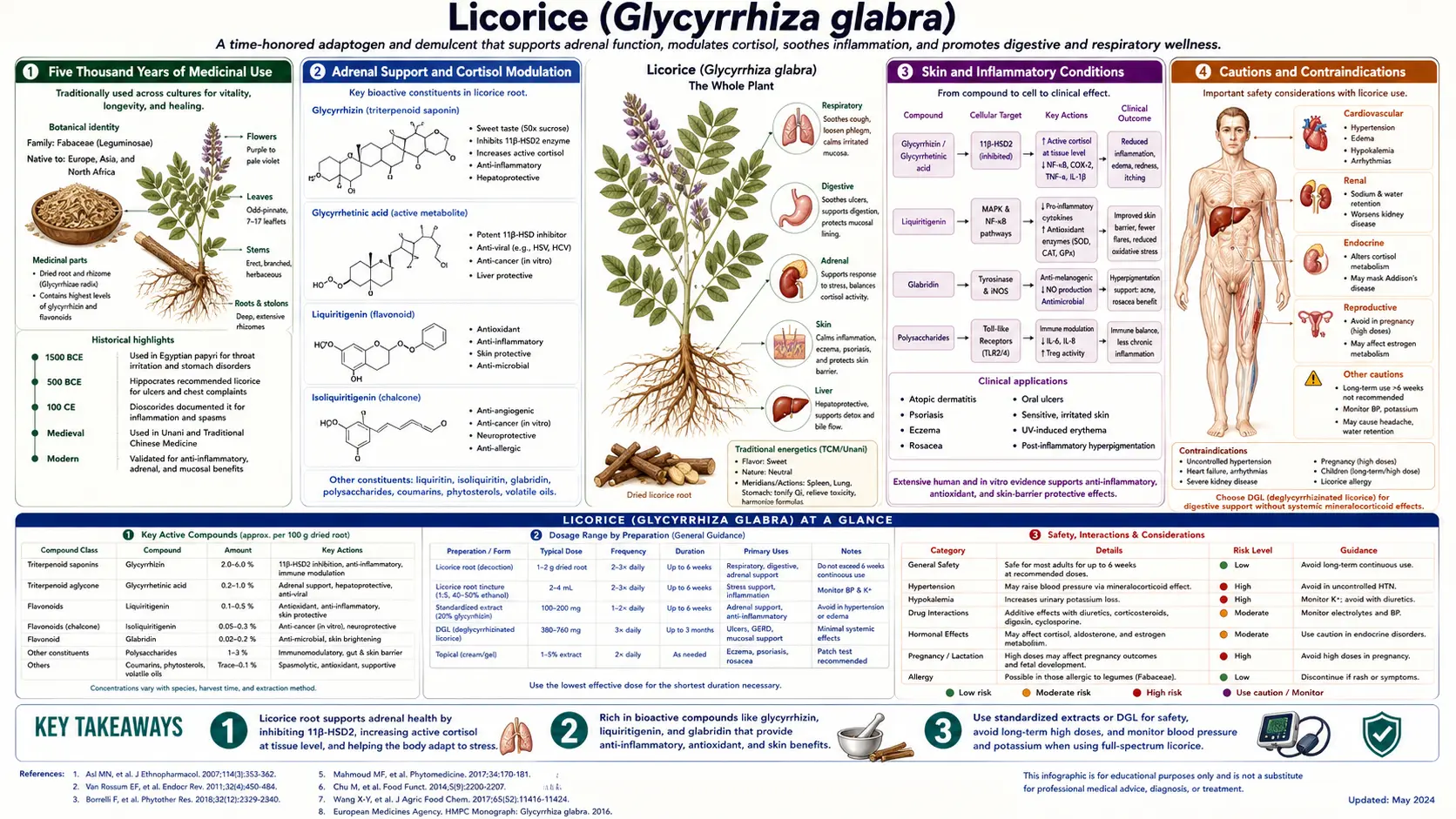 Licorice — scientific infographic poster