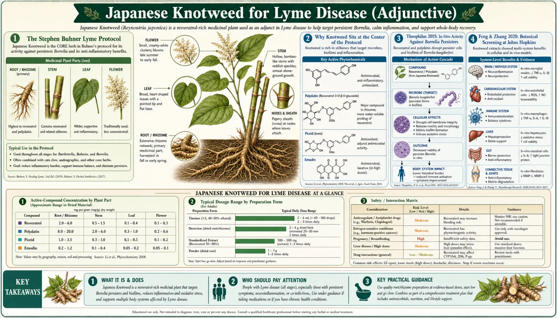 Lyme Disease Adjunctive — scientific infographic poster