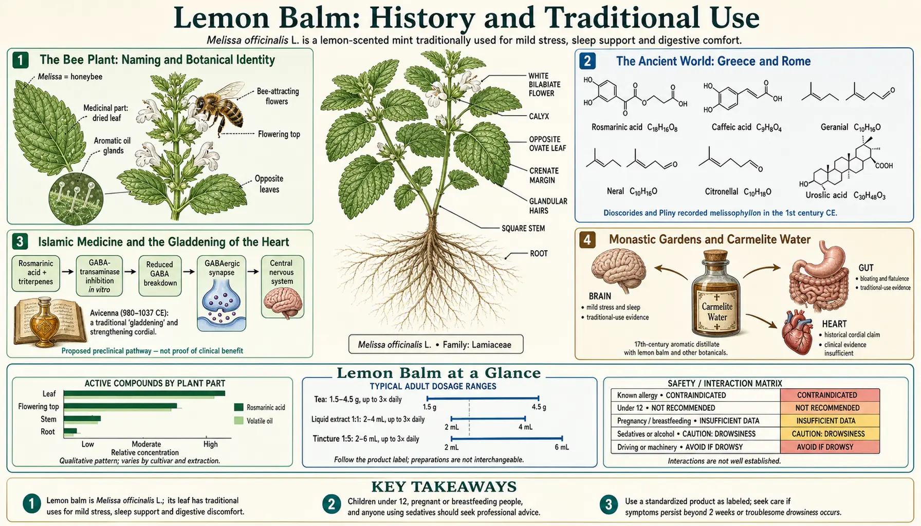 History — scientific infographic poster
