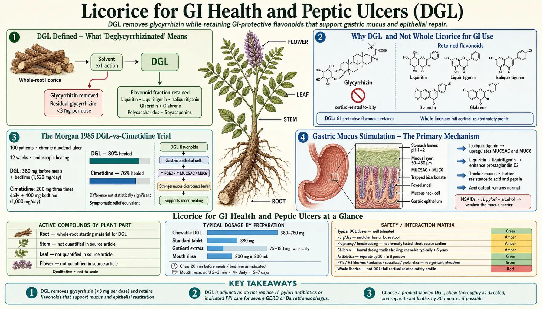 GI Health and Ulcers — scientific infographic poster