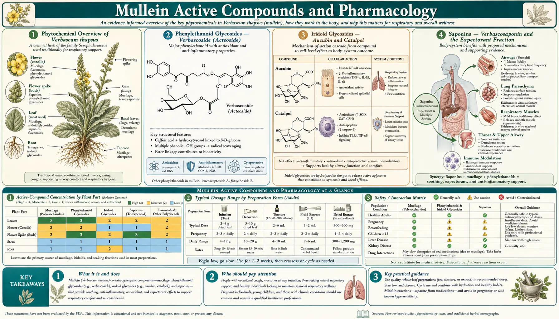 Active Compounds and Pharmacology — scientific infographic poster