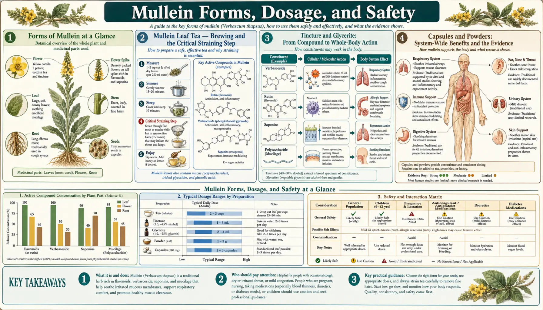 Forms Dosage and Safety — scientific infographic poster