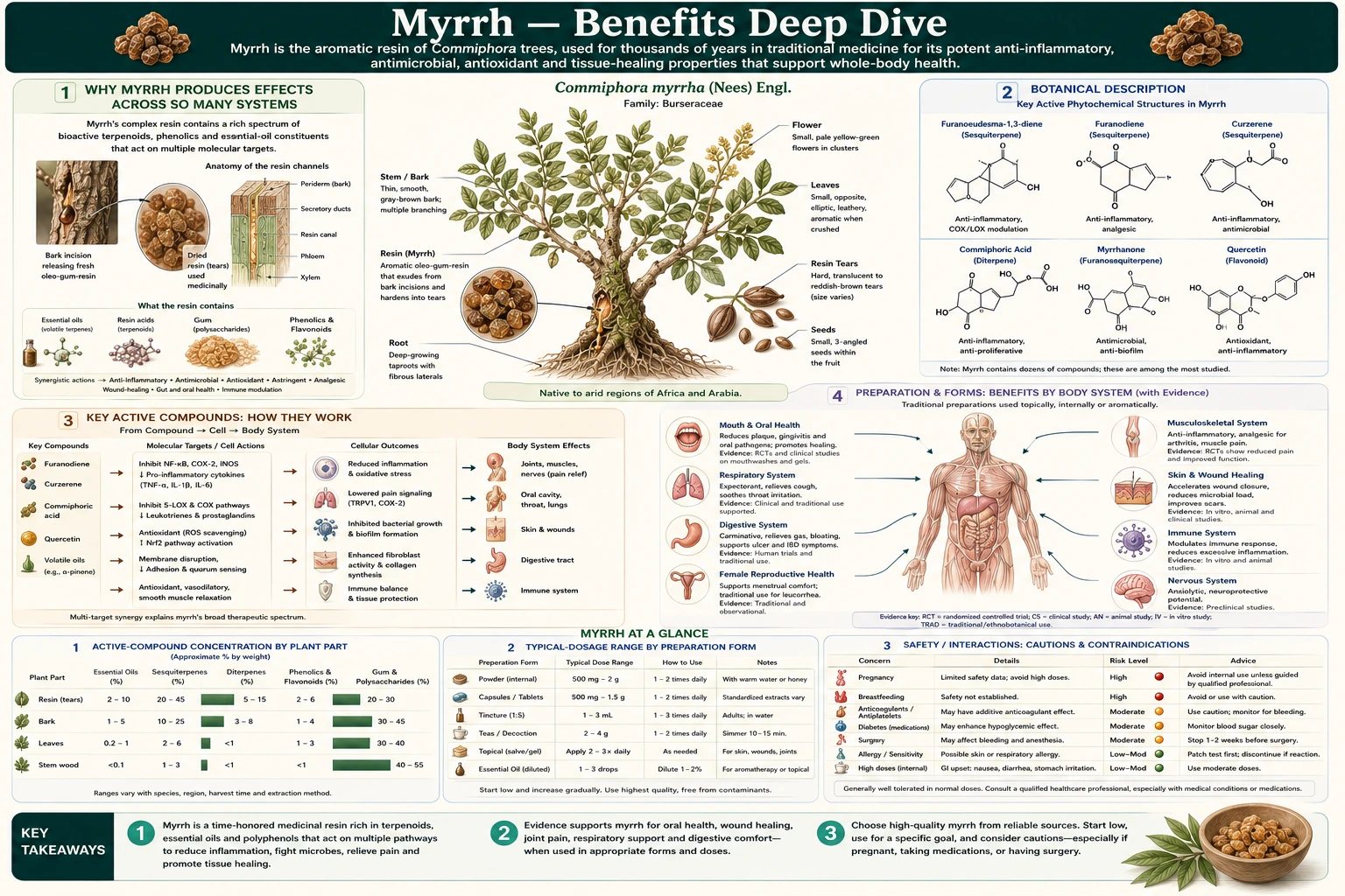Benefits — scientific infographic poster