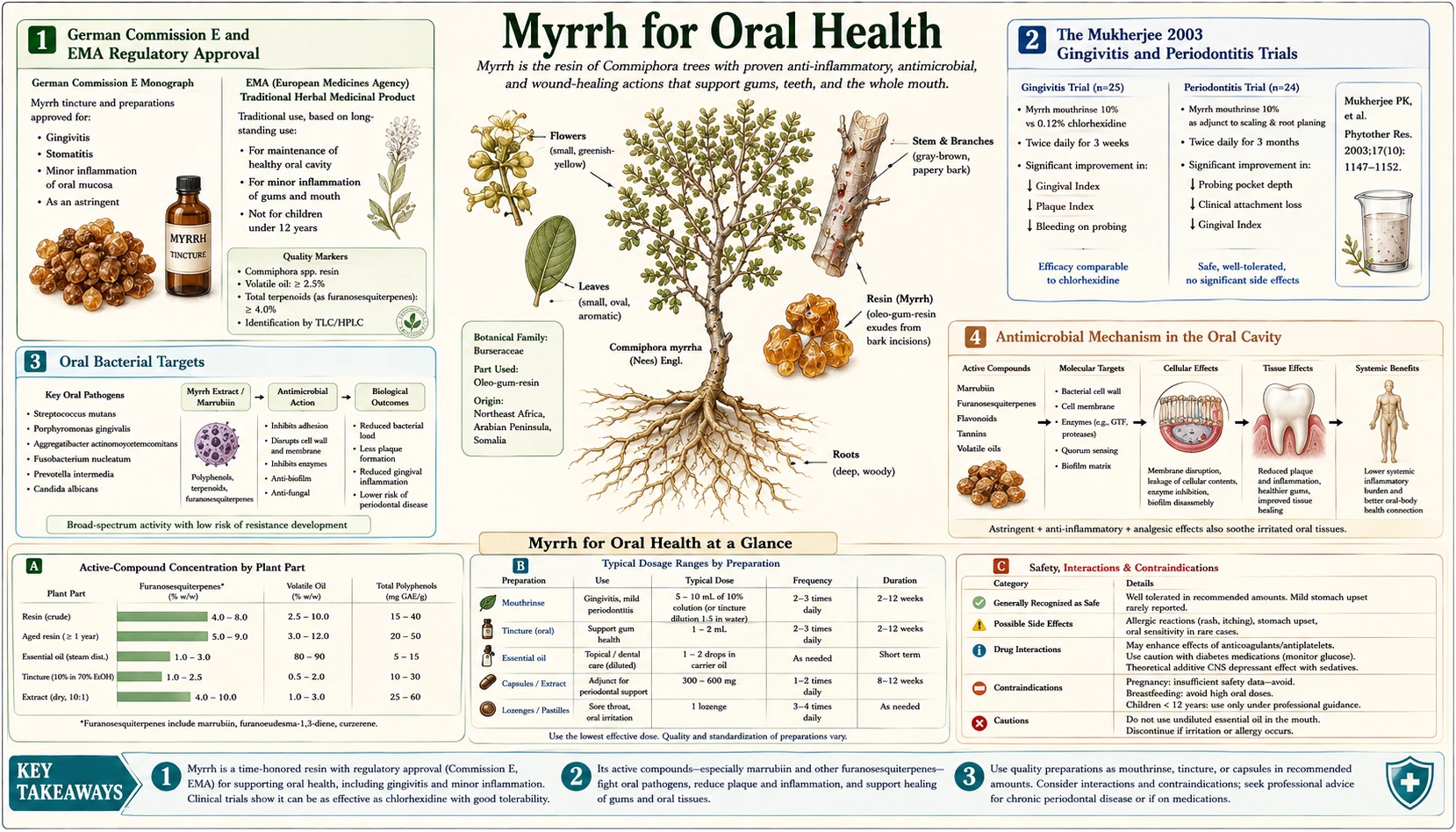 Oral Health — scientific infographic poster