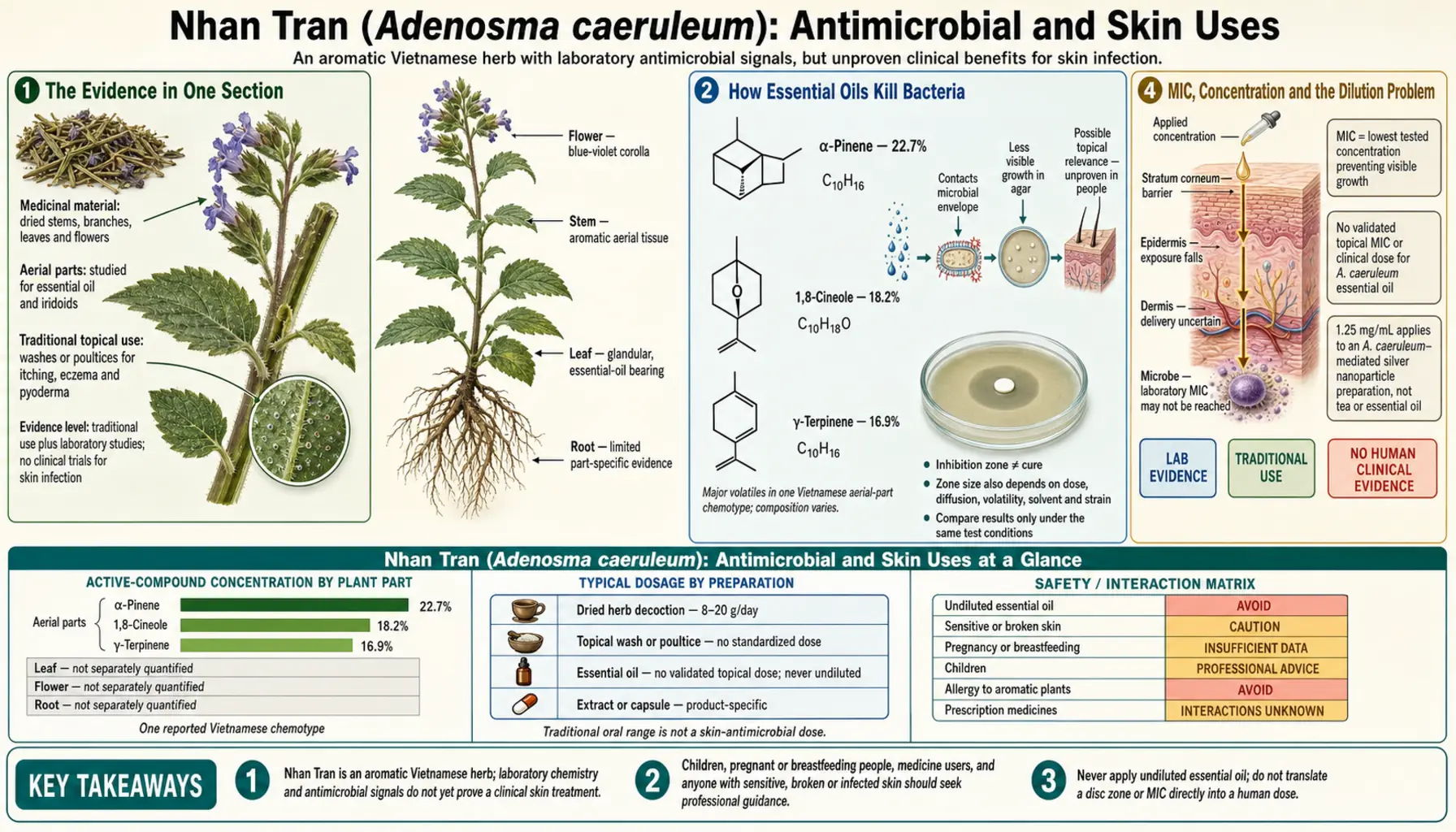 Antimicrobial and Skin — scientific infographic poster
