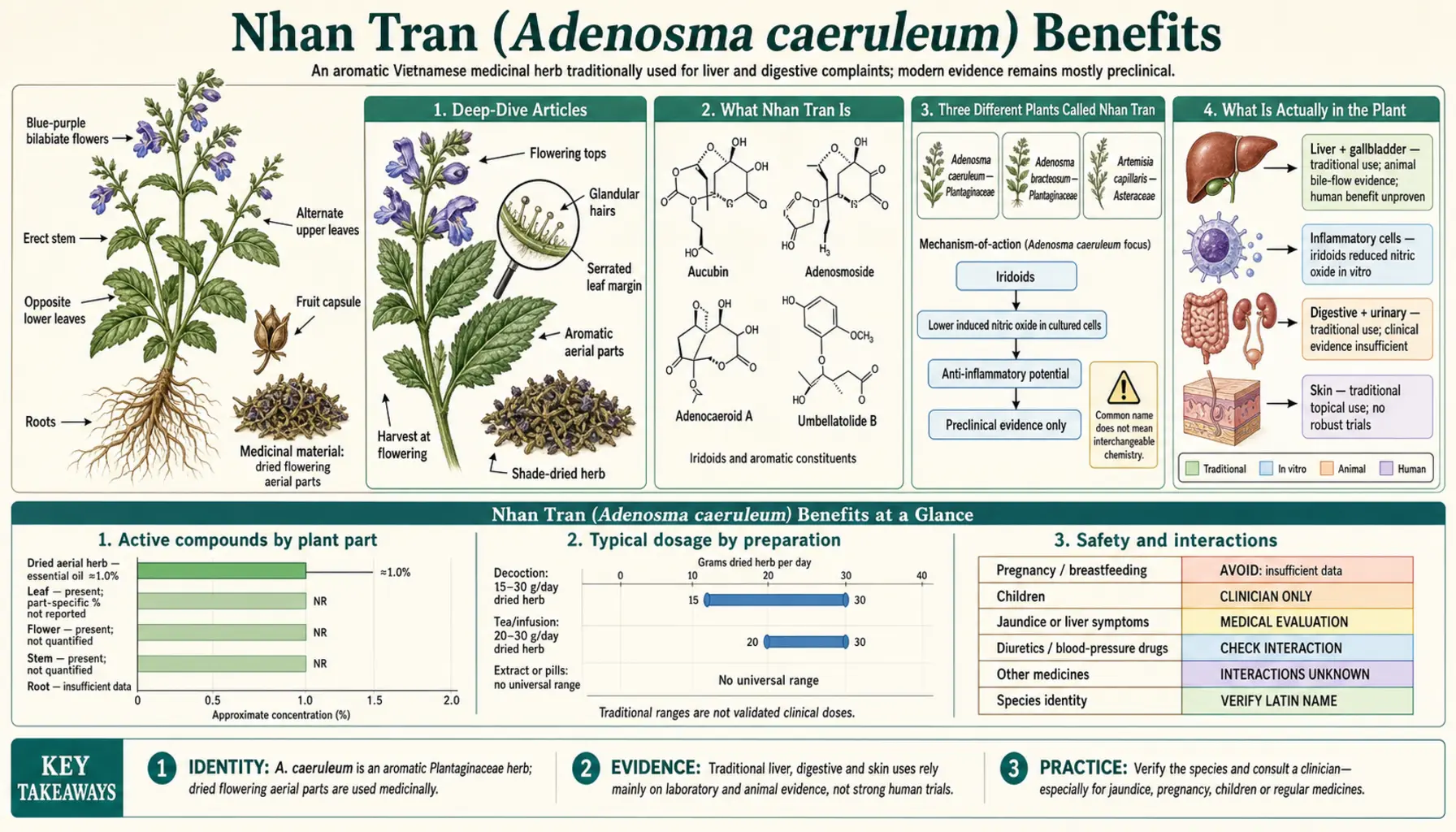 Benefits — scientific infographic poster