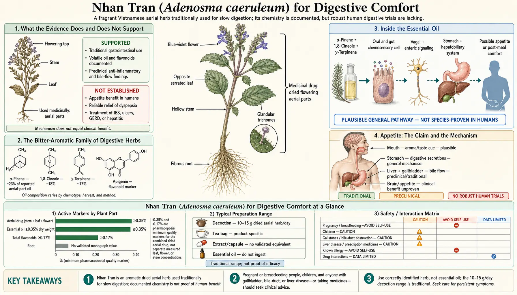 Digestive Comfort — scientific infographic poster