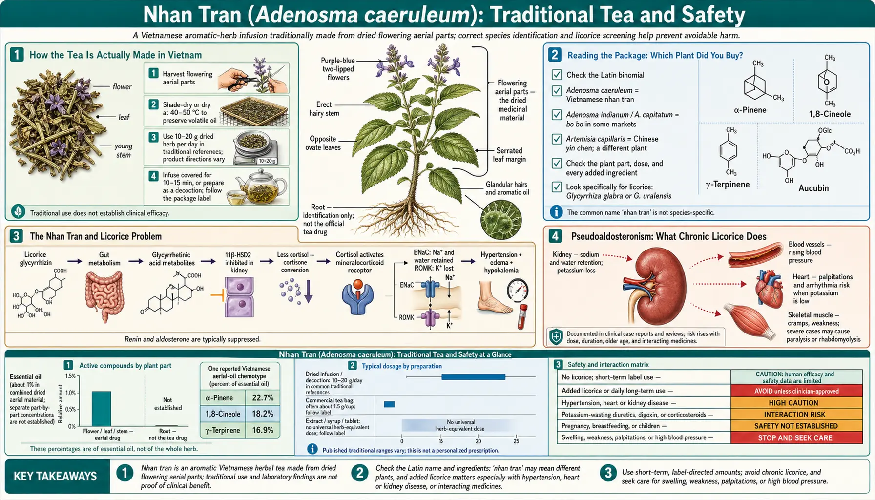 Traditional Tea and Safety — scientific infographic poster