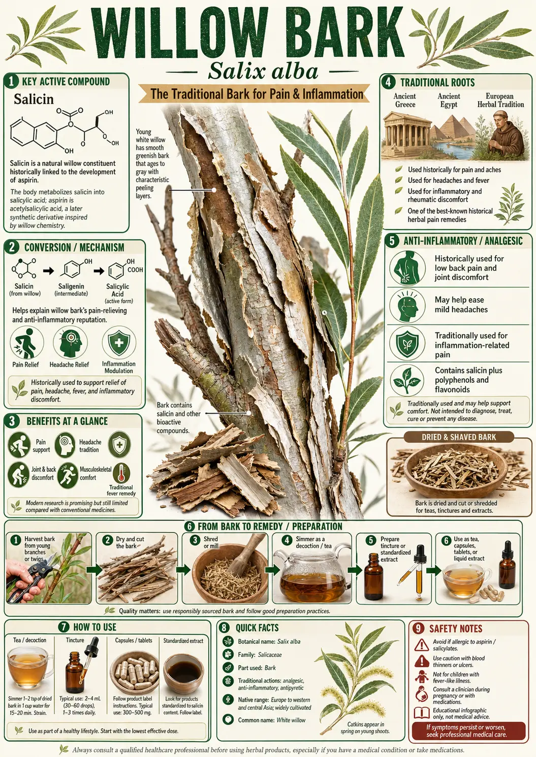 Willow Bark (Salix alba)