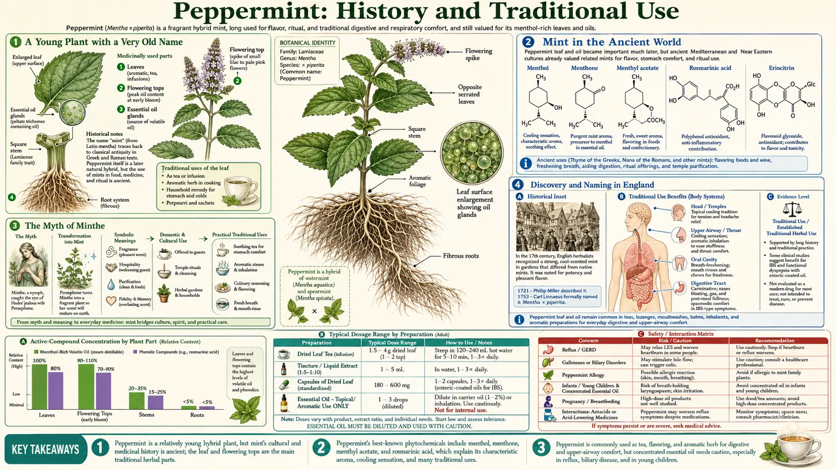 History — scientific infographic poster