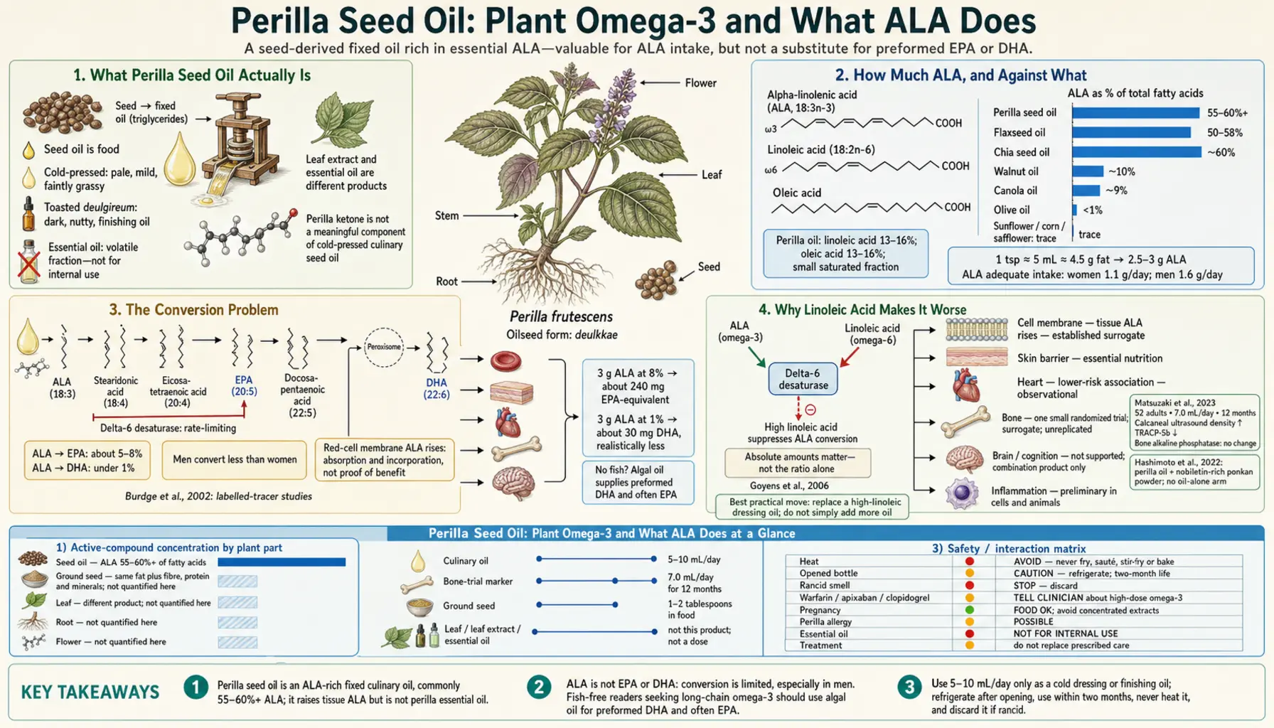 Omega 3 and Perilla Seed Oil — scientific infographic poster