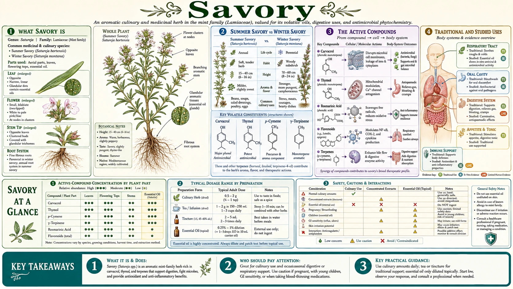 Savory — scientific infographic poster