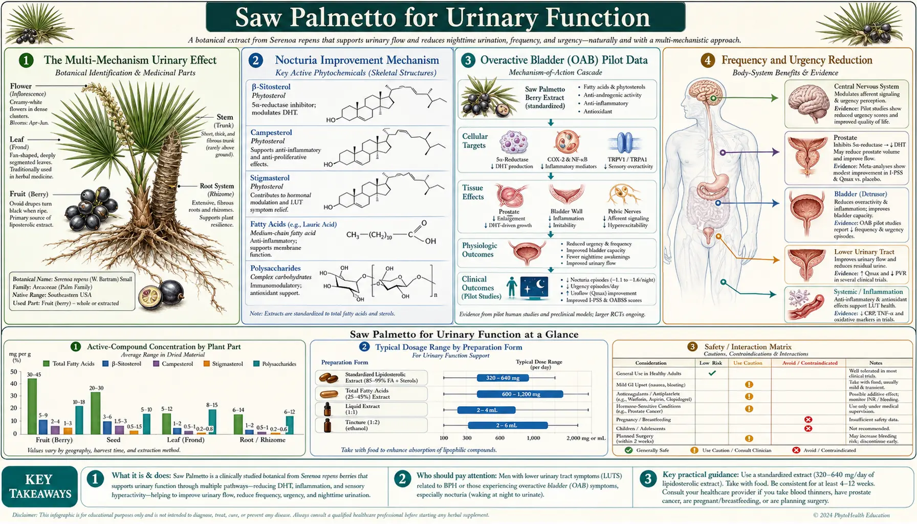 Urinary Function — scientific infographic poster