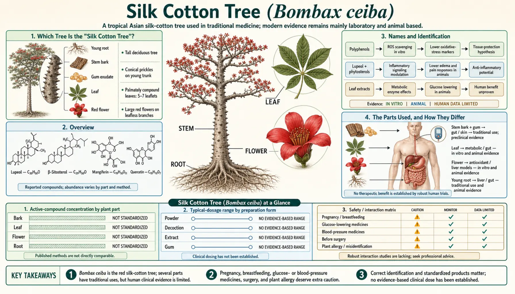 Silk Cotton — scientific infographic poster