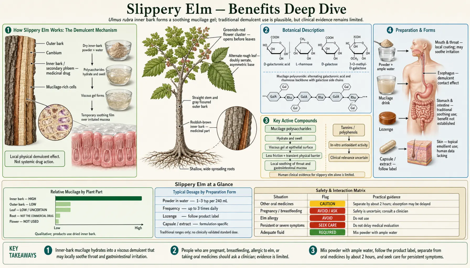 Benefits — scientific infographic poster