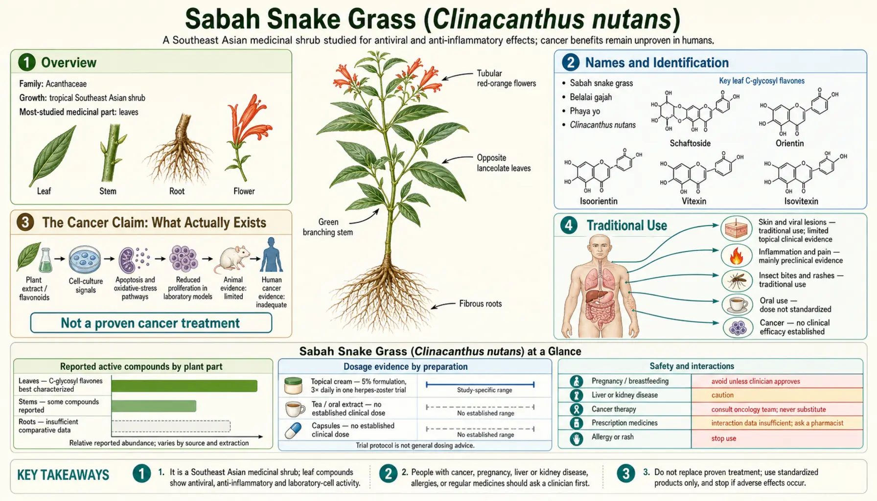 Snake Grass — scientific infographic poster
