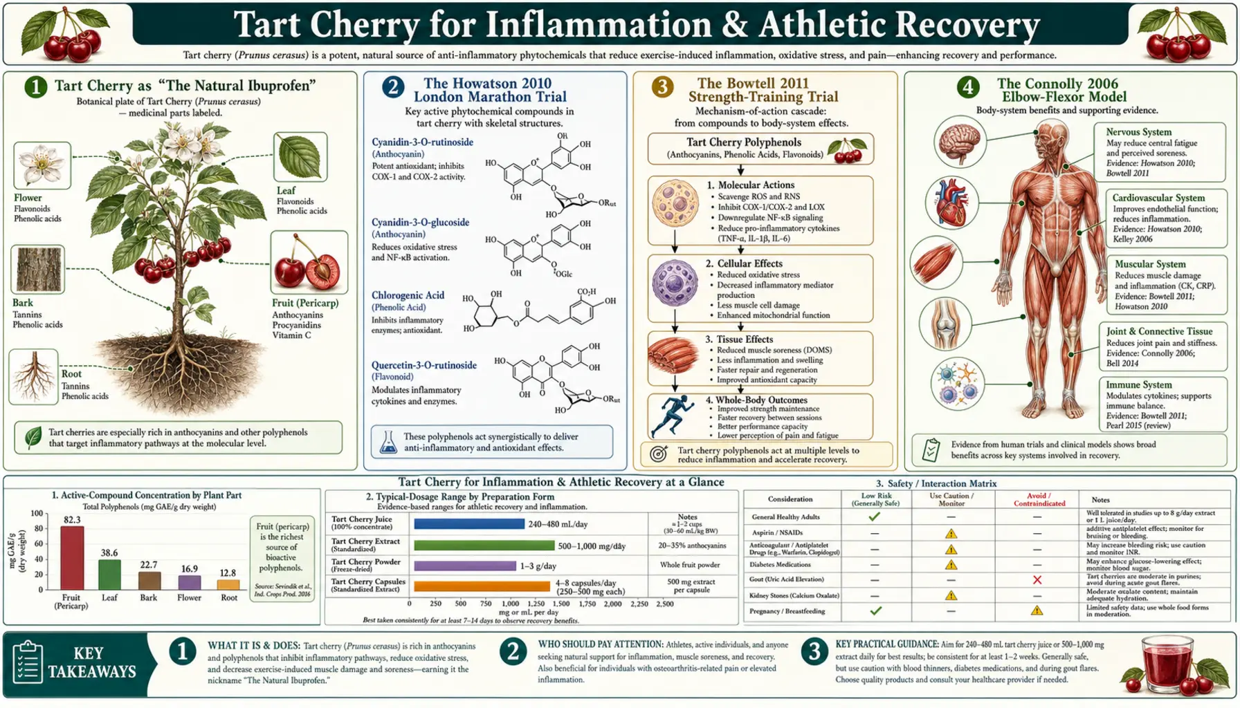 Inflammation and Athletic Recovery — scientific infographic poster