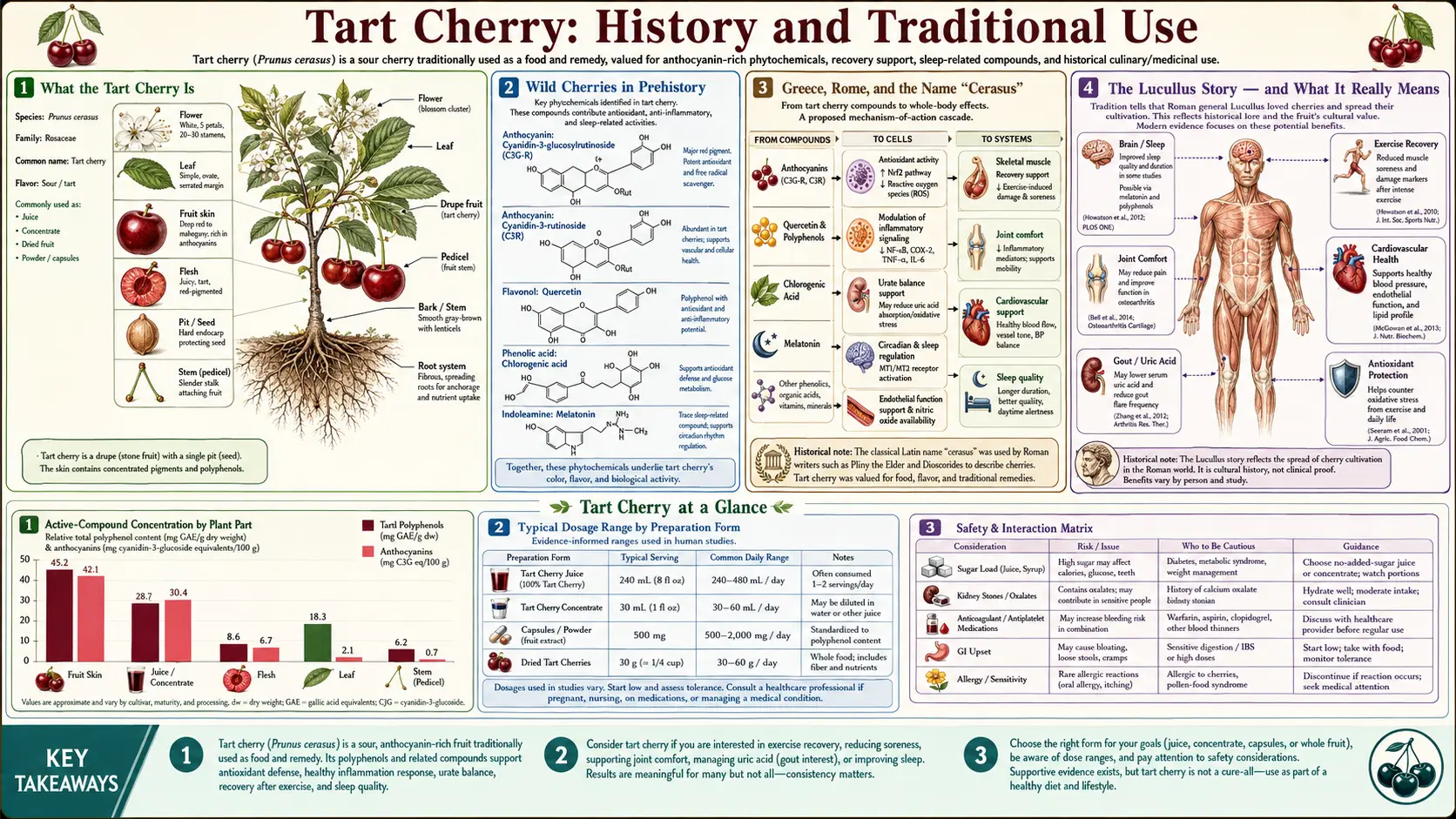 History — scientific infographic poster